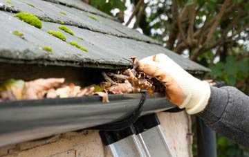 gutter cleaning Lower Rabber, Powys